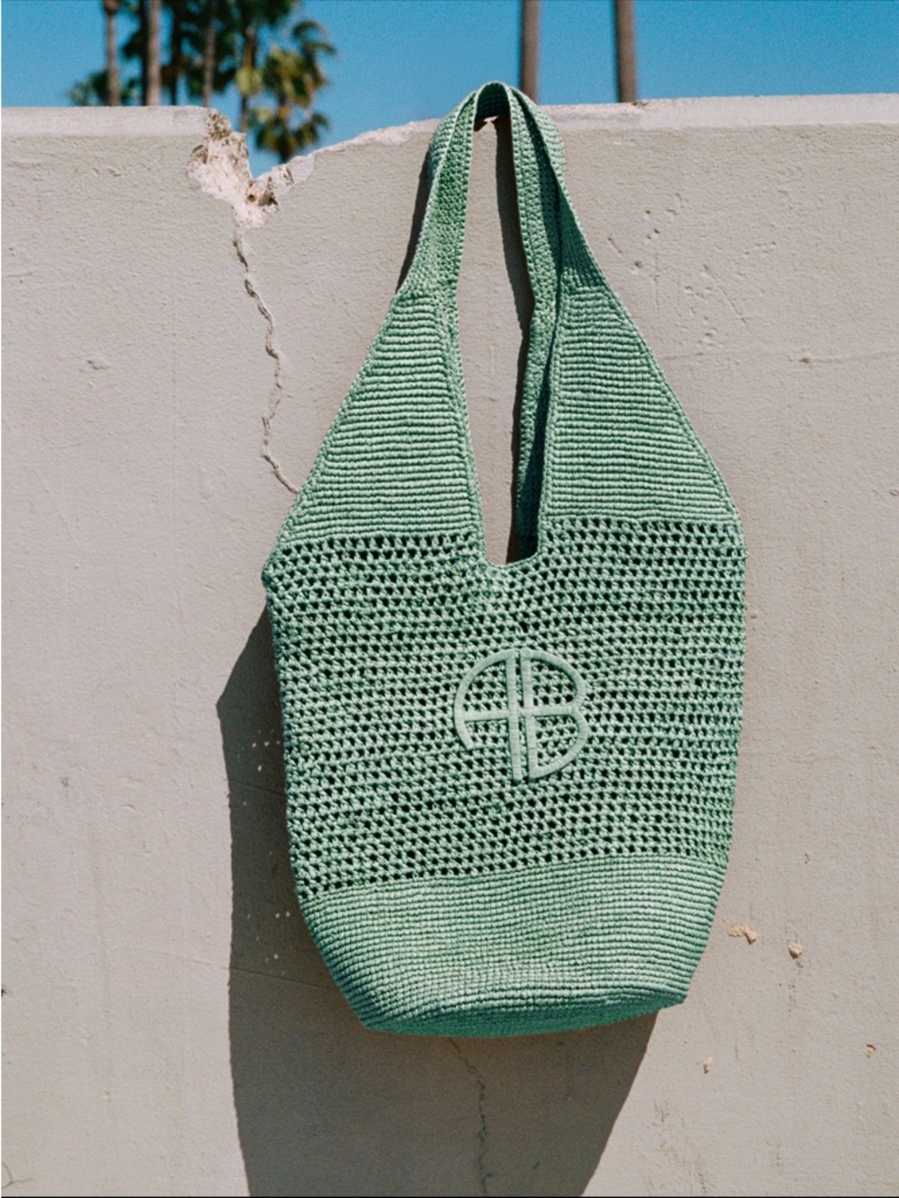 Anine Bing Leah logo raffia bag Mint Green Crochet Tote Bag NWT